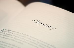 Glossary of DWP speak